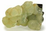 Botryoidal Prehnite and Epidote - Mali #220459-1